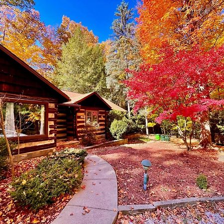 Log Cabin - Natures Oasis - Fire Pit & Gazebo クリーブランド エクステリア 写真