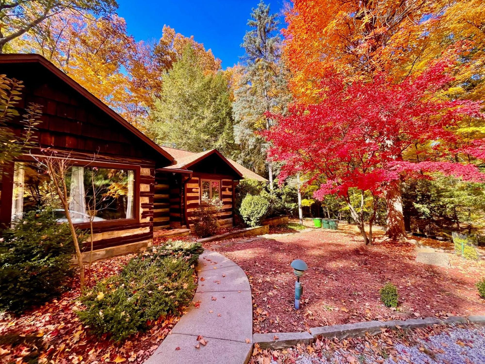 Log Cabin - Natures Oasis - Fire Pit & Gazebo クリーブランド エクステリア 写真