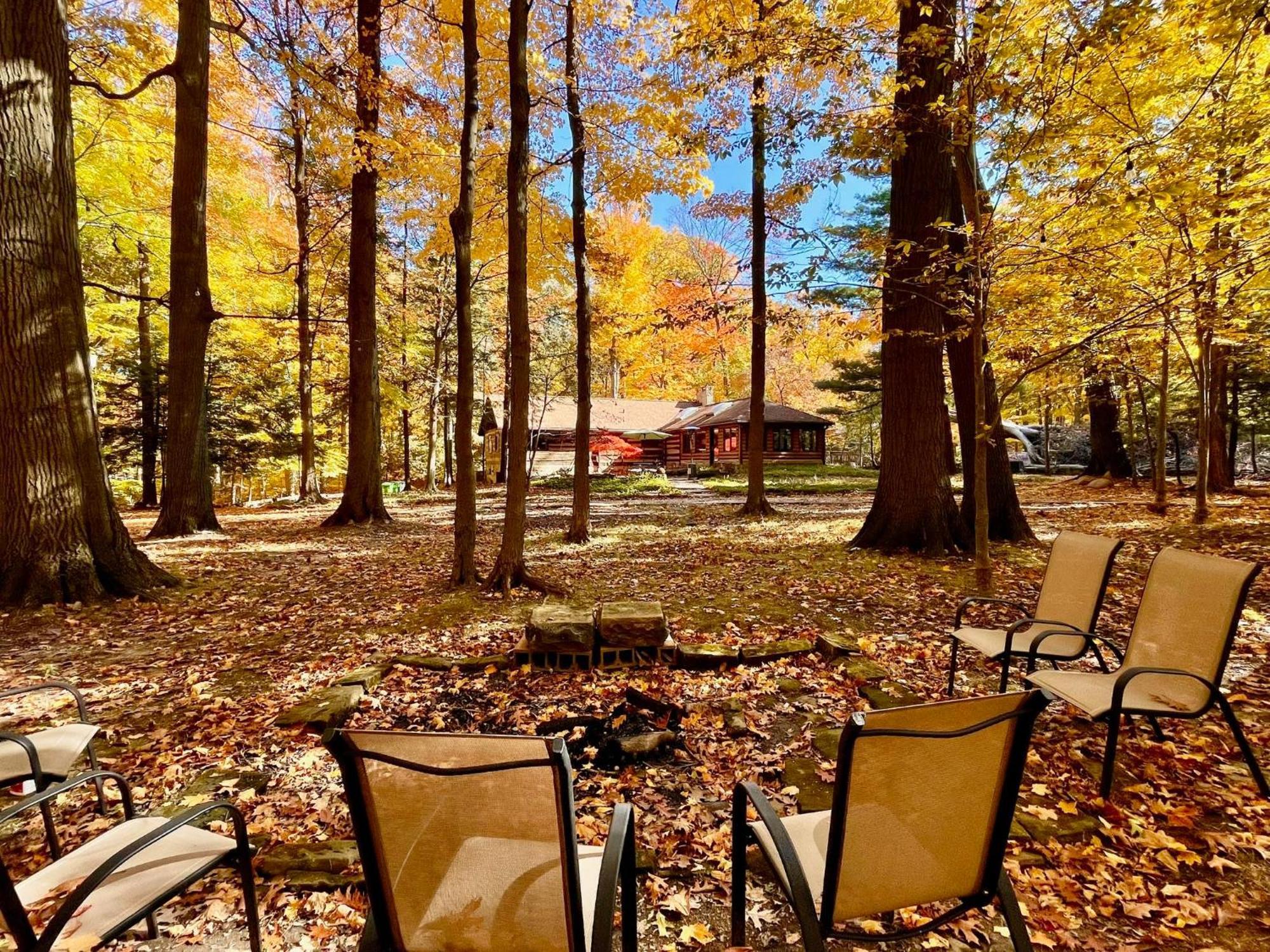Log Cabin - Natures Oasis - Fire Pit & Gazebo クリーブランド エクステリア 写真