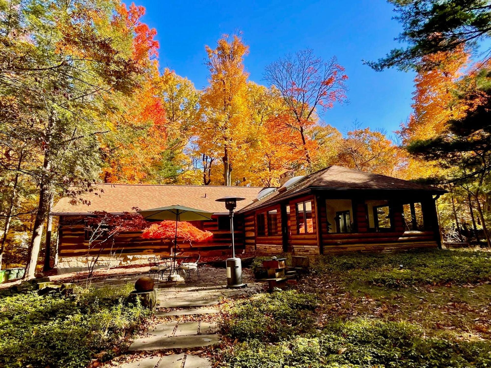 Log Cabin - Natures Oasis - Fire Pit & Gazebo クリーブランド エクステリア 写真