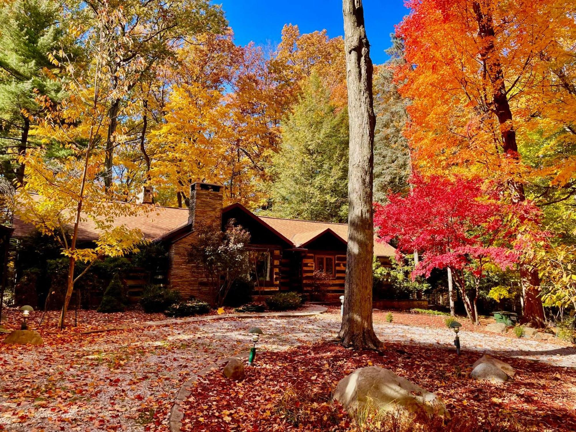 Log Cabin - Natures Oasis - Fire Pit & Gazebo クリーブランド エクステリア 写真